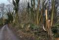 Trees ‘destroyed’ as caravan illegally brought onto land