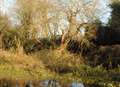 Volunteers fear for future of nature reserve