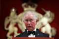 Charles reveals coronavirus forced postponement of Ireland visit