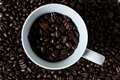 Drinking coffee could help fight obesity – study