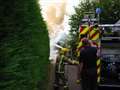 Vandals set hedge alight