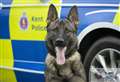 Police Dog Chewie finds suspected car thief