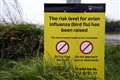 Avian Influenza Prevention Zone in Northern Ireland to be lifted