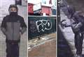 £500 reward to help catch graffiti vandal