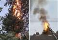 ‘Terrified’ neighbours watch tree ablaze after bonfire spreads