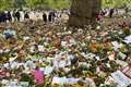 Floral tributes for Queen to be composted and used in Royal Parks