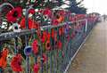 Elderly vandal cuts down hundreds of poppies created to honour fallen