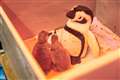 Toy penguins used to care for chicks named in honour of Queen’s Platinum Jubilee