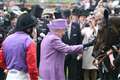 Queen reveals her favourite horses of all time