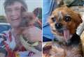 Gran 'beyond devastated' after seeing her beloved dog mauled to death