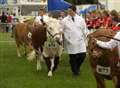 Huge crowds at 2004 county show