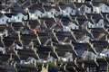 Mortgage measures ‘could help to create some breathing space’ for borrowers