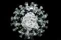 Experts warn it is too early to worry about new coronavirus strain