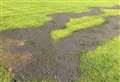 'Massive blow' as vandals pour oil on cricket club pitch