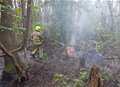 Firefighters tackle woodland blaze