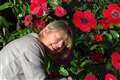 ‘Team effort’: Surrey care home’s handmade poppy cascade marks Remembrance Day