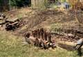 ‘Mindless’ vandals torch community garden benches ‘adored’ by nursery kids