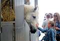 Everything you need to know about this year’s Kent County Show