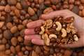 Plant protein-rich diets ‘may help women stay healthy as they age’