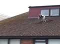Video: Shocking footage of BMXers on roof of school