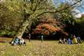 Outdoor family gatherings could be allowed within weeks as lockdown eases