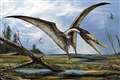 Newly-discovered species of prehistoric flying reptile ‘poses mystery’