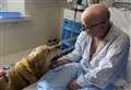 Therapy dogs return to hospital