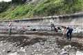 Footprints of early dinosaur discovered on Welsh beach