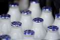 Dairy giant Arla warns of summer milk supply crisis due to driver shortage