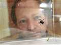 Deadly Black Widow found in Ke