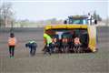 Fruit and vegetable pickers flown from Romania to UK