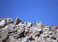 Road closed to clear three tonnes of rubble