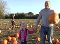 Don't get caught in last-minute squash for pumpkins