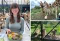 ‘I ate a meal made with a gorilla's favourite foods and it was amazing’