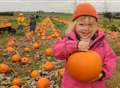 How a few leftover vegetables turned into a big event