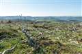 Moorland twice the size of Greater London devoted to raising grouse, says study