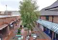 Shopping centre trees to be felled for ‘health and safety’