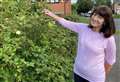 ‘Council’s brambles are invading my garden and garage’