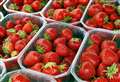 Brexit blamed by fruit farmers for shortage of seasonal fruit pickers