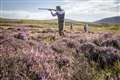 Concerns raised over plans to license Scottish grouse shooting