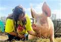 Animal sanctuary hopes to take fight to parliament