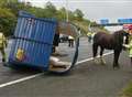 Horses hurt in M20 accident