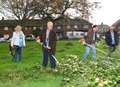 MP’s Big Mow cuts grass problem down to size 