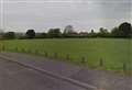 Travellers and horses arrive on children's park