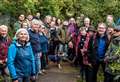 Fury over bypass plan through historic woodland