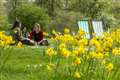 Dry, sunny conditions for most of UK this weekend to mark start of spring