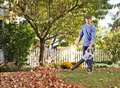 How to pick the right tools for the great autumn tidy-up 