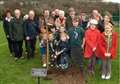 Children plant oak tree