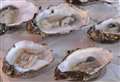 Oyster sales halted again after further reports of sickness