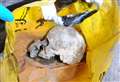 'Human skull' dumped in bag for life